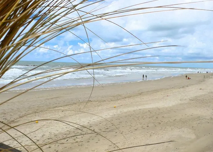 アパート De Witte Brug